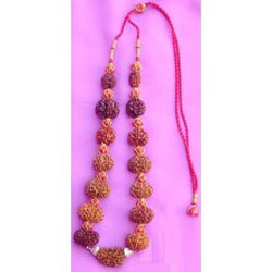 Rudraksha Siddha Mala